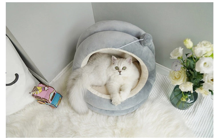 Pet accessories  ☆