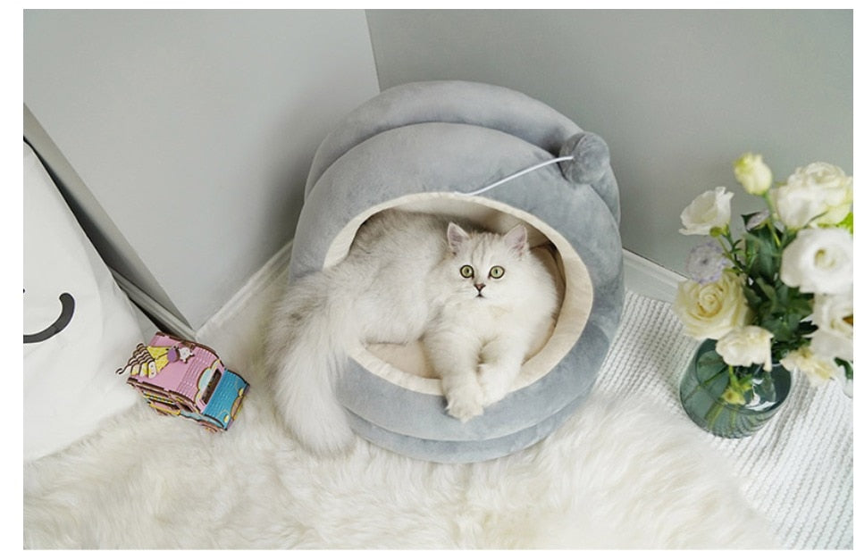 The Velvet Sanctuary | Cozy Cottage for Kittens & Small Companions 🐾✨